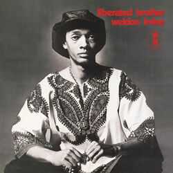 Cover of Liberated Brother