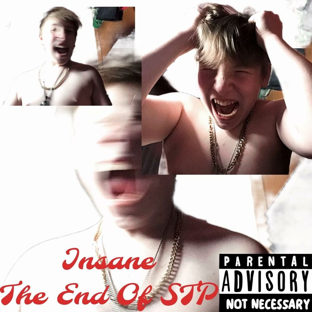 Picture of Insane