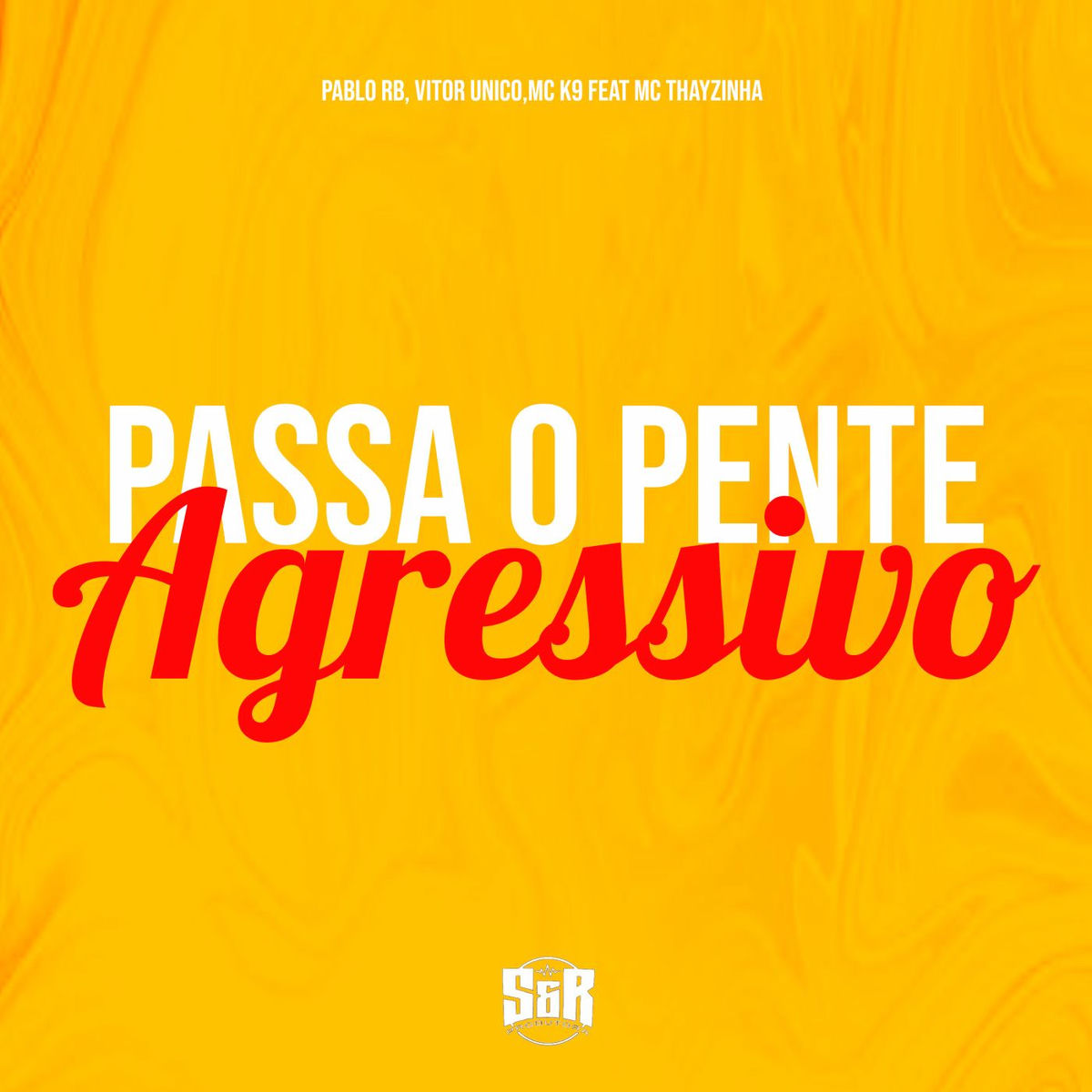 Album cover of Passa o Pente Agressivo (feat. MC Thaizinha)