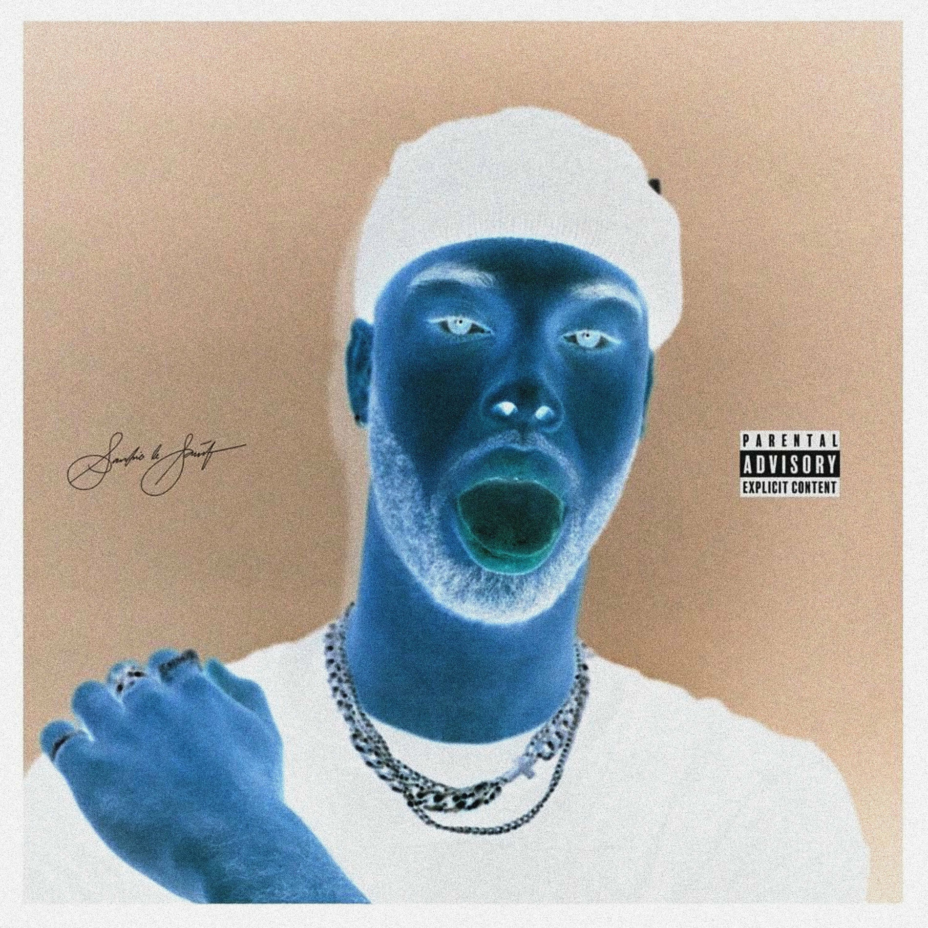 Album cover of The Party