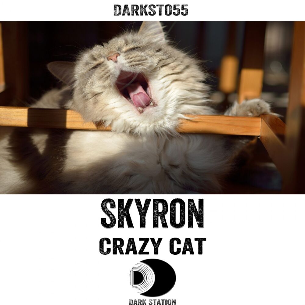 Picture of Crazy Cat