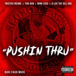 Cover of Pushin Thru