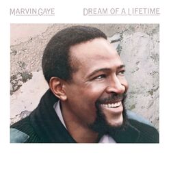 Cover of Dream Of A Lifetime