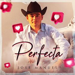 Cover of Perfecta