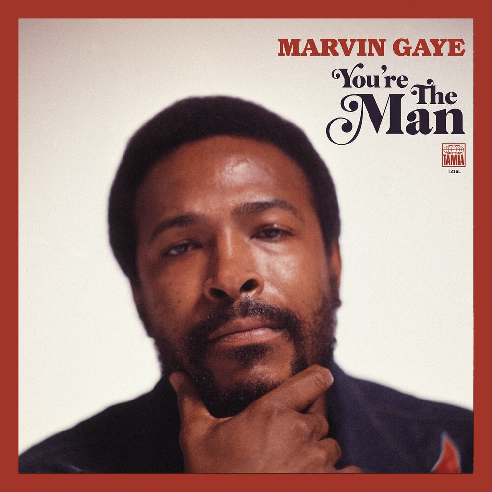 Picture of You're The Man (Expanded Edition)