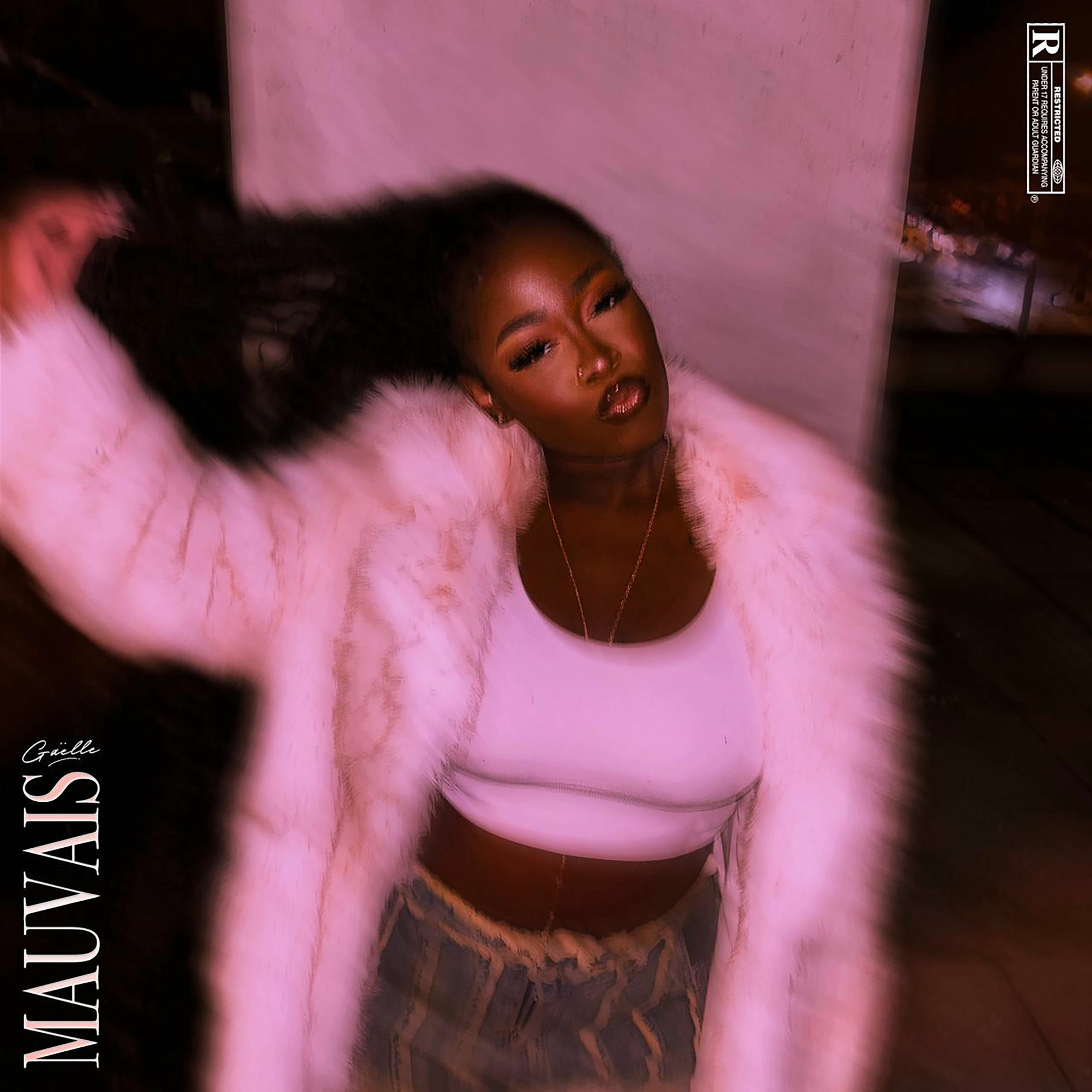 Album cover of Mauvais