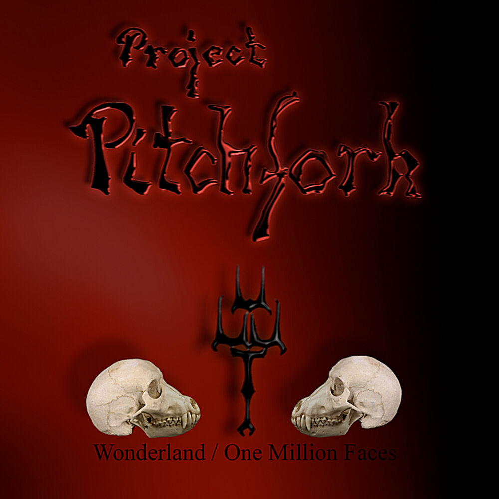 Picture of Wonderland / One Million Faces