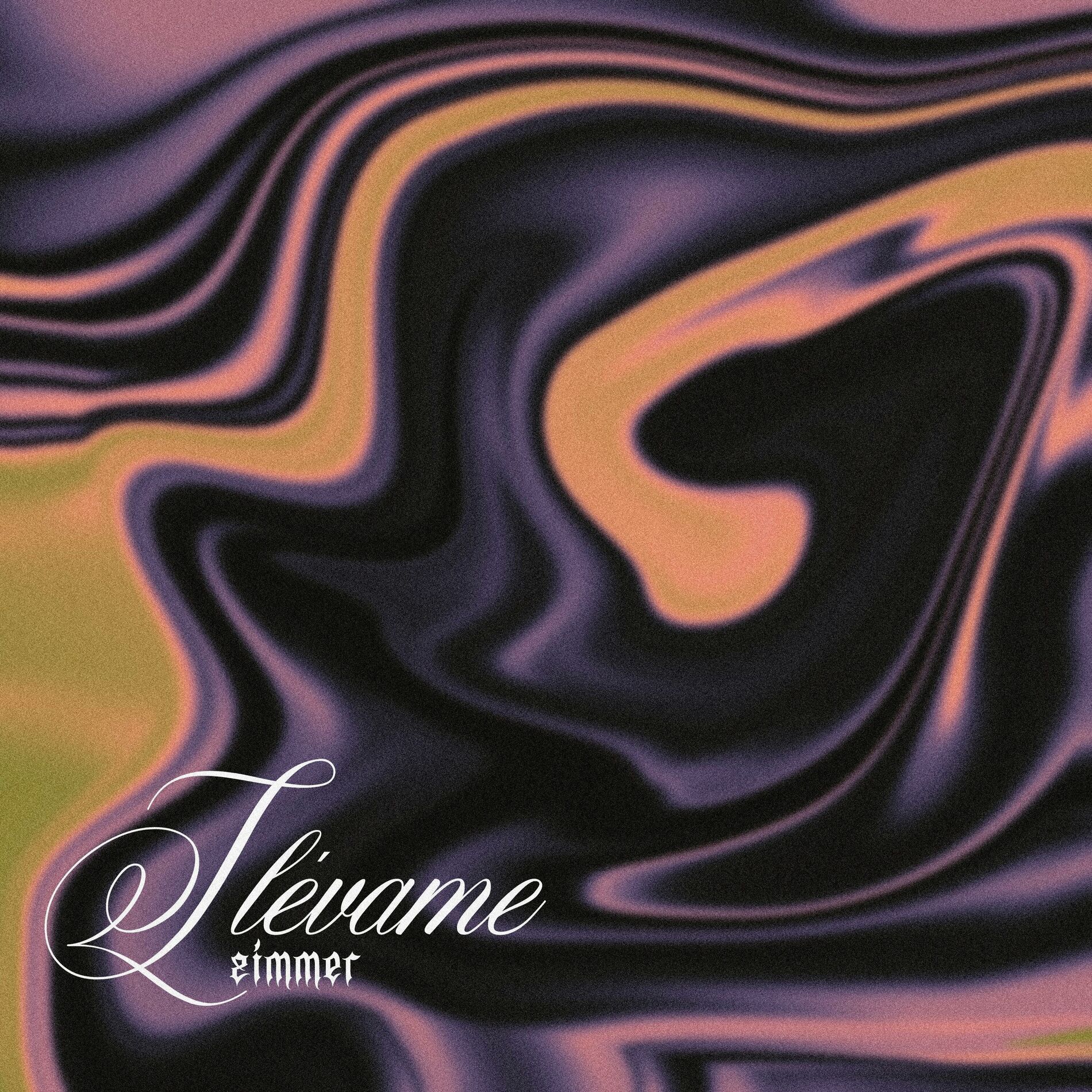 Album cover of Llévame