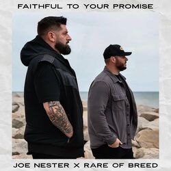 Cover of FAITHFUL TO YOUR PROMISE
