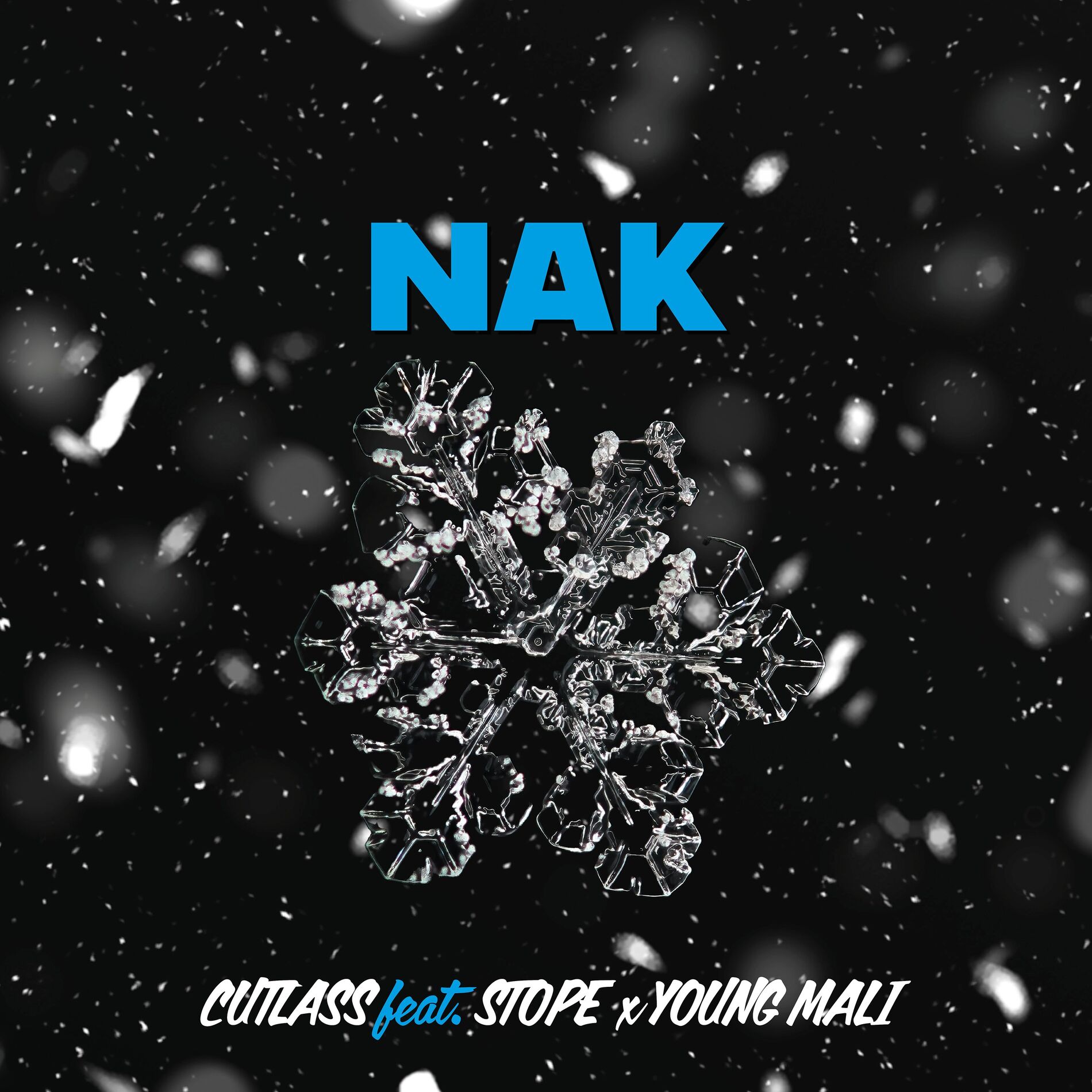 Album cover of NAK
