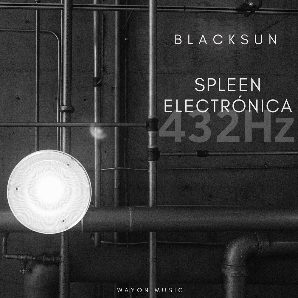 Picture of Spleen Electrònica (432HZ)