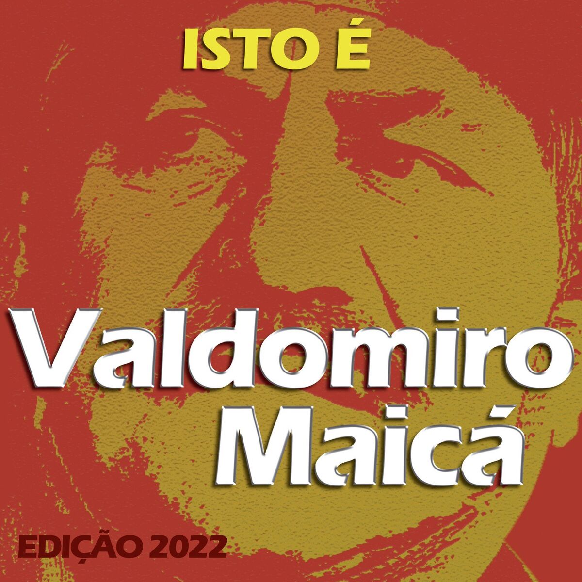 Album cover of Isto é Valdomiro Maicá