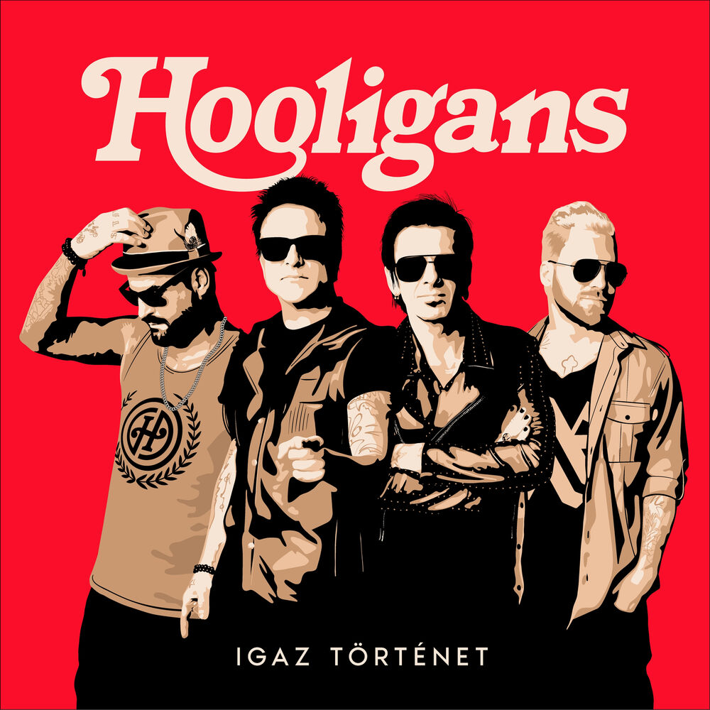 Picture of Hooligans - Igaz történet