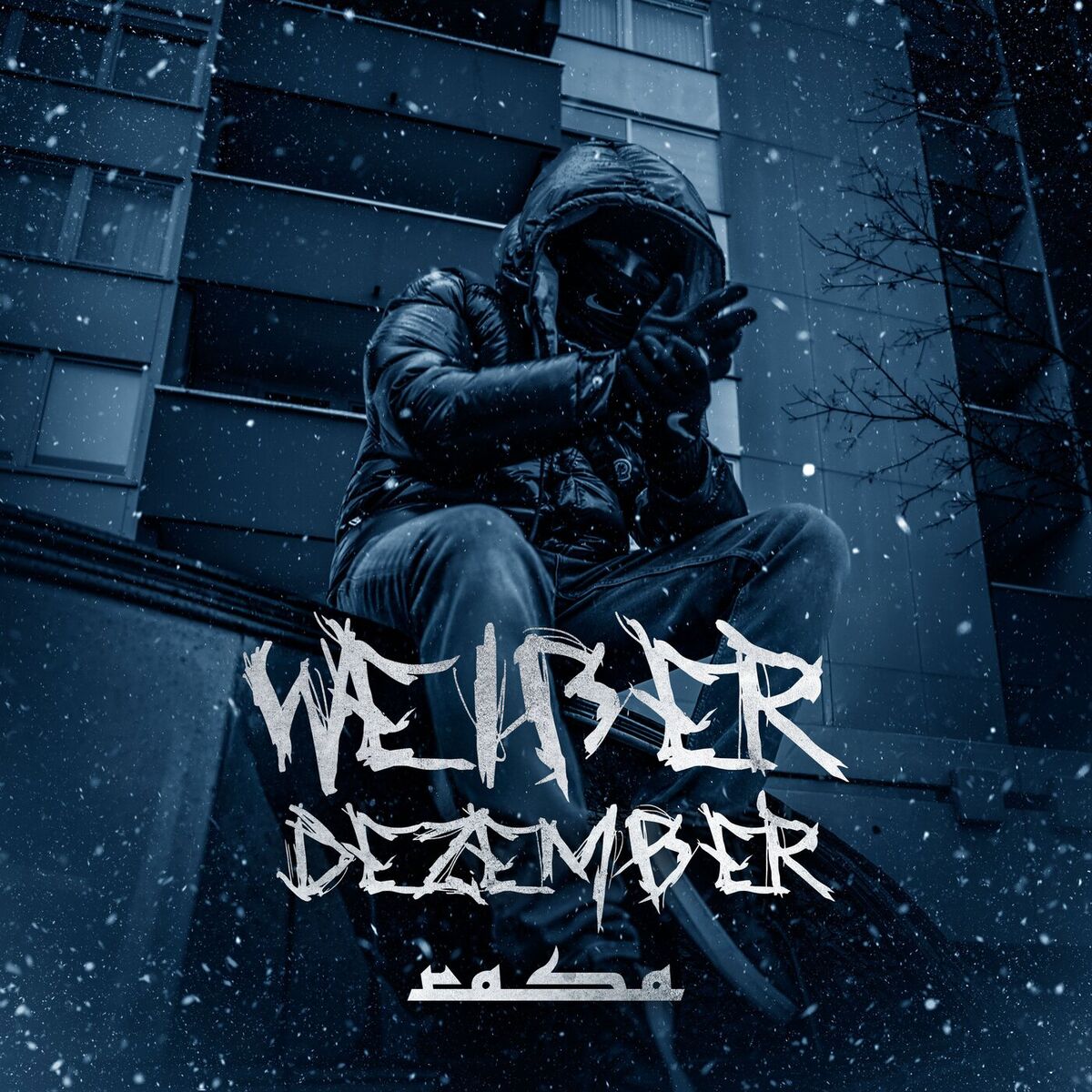 Album cover of Weißer Dezember