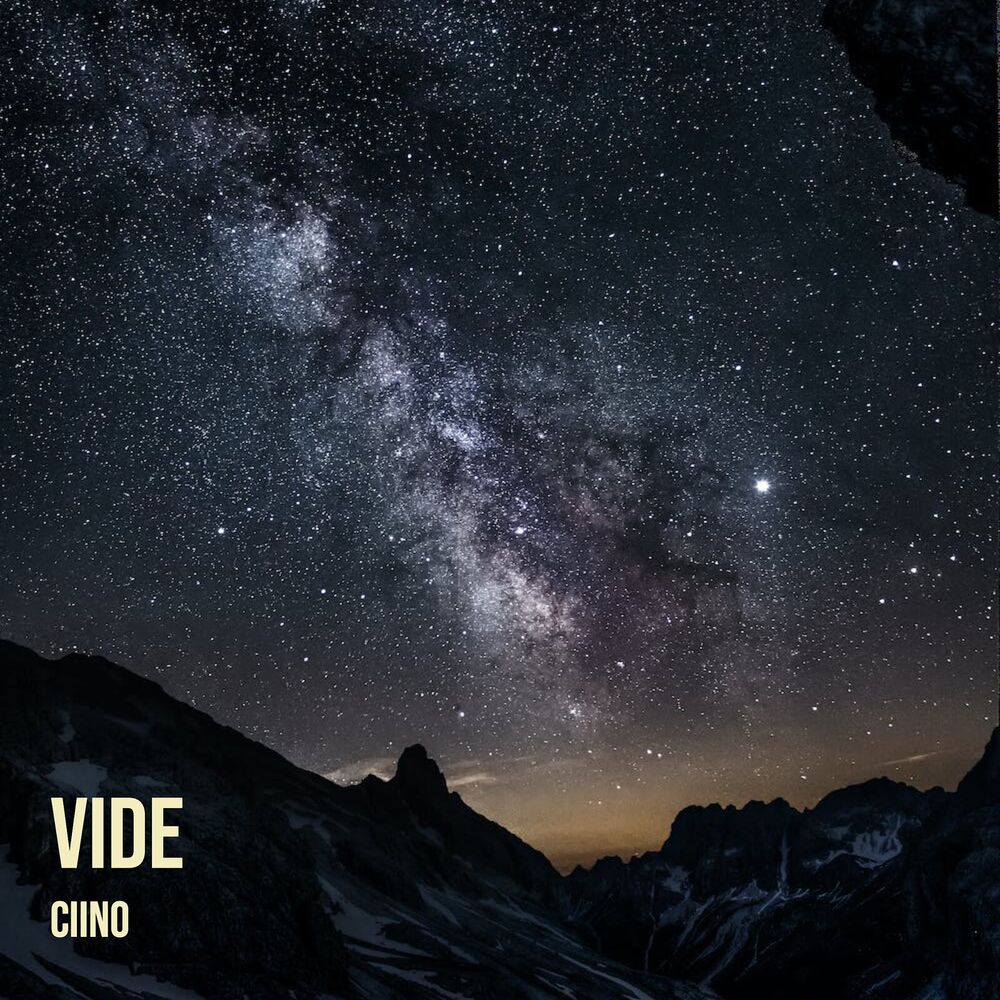 Picture of Vide