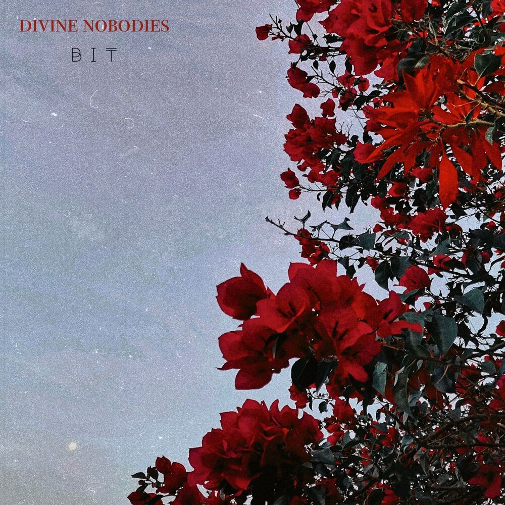 Picture of Divine Nobodies