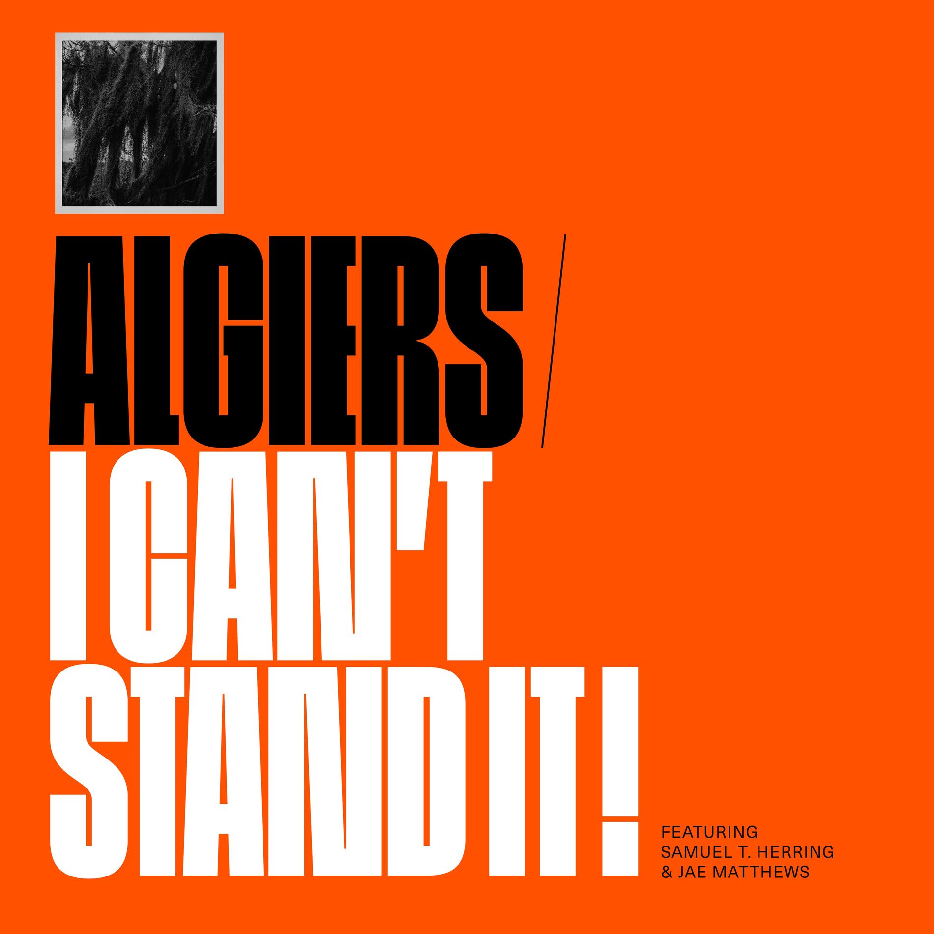 Album cover of I Can't Stand It!