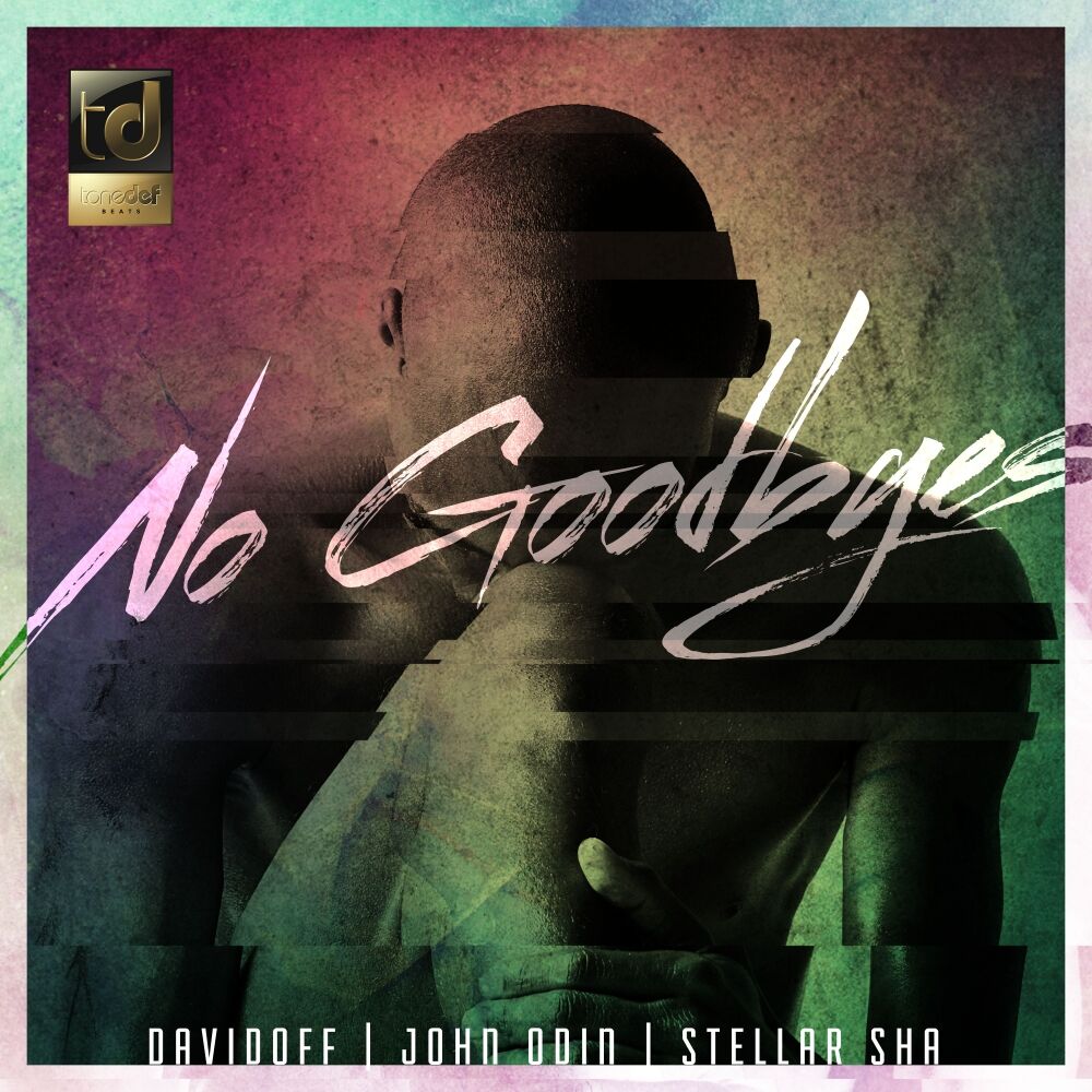 Picture of No Goodbyes