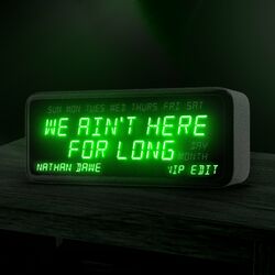 Cover of We Ain't Here For Long (VIP Edit)