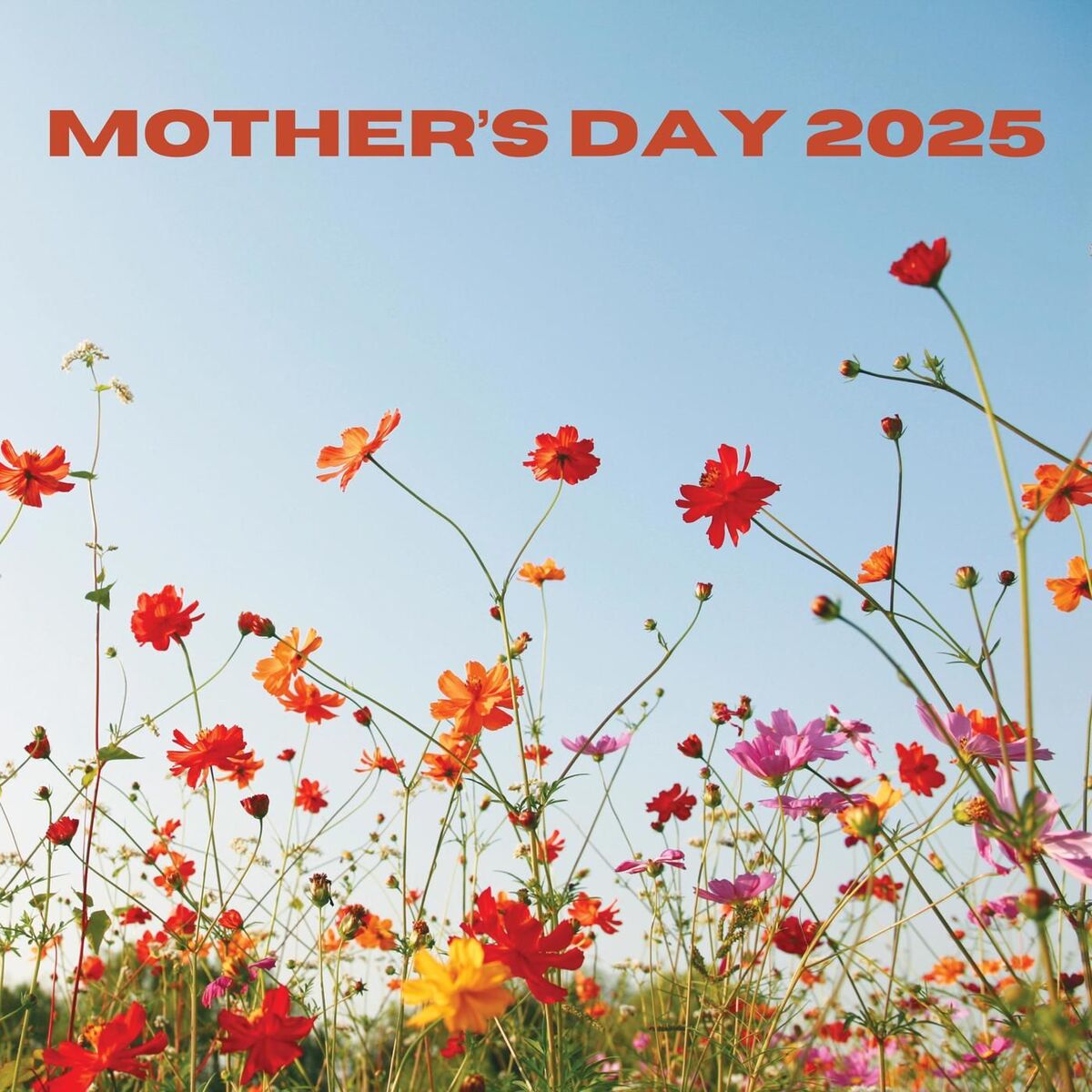 Album cover of Mother's Day 2025