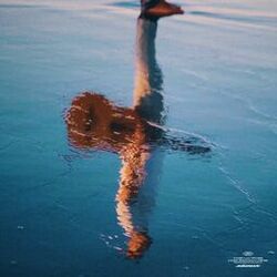 Cover of Se eu não te amasse tanto assim