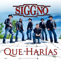 Cover of Qué Harías