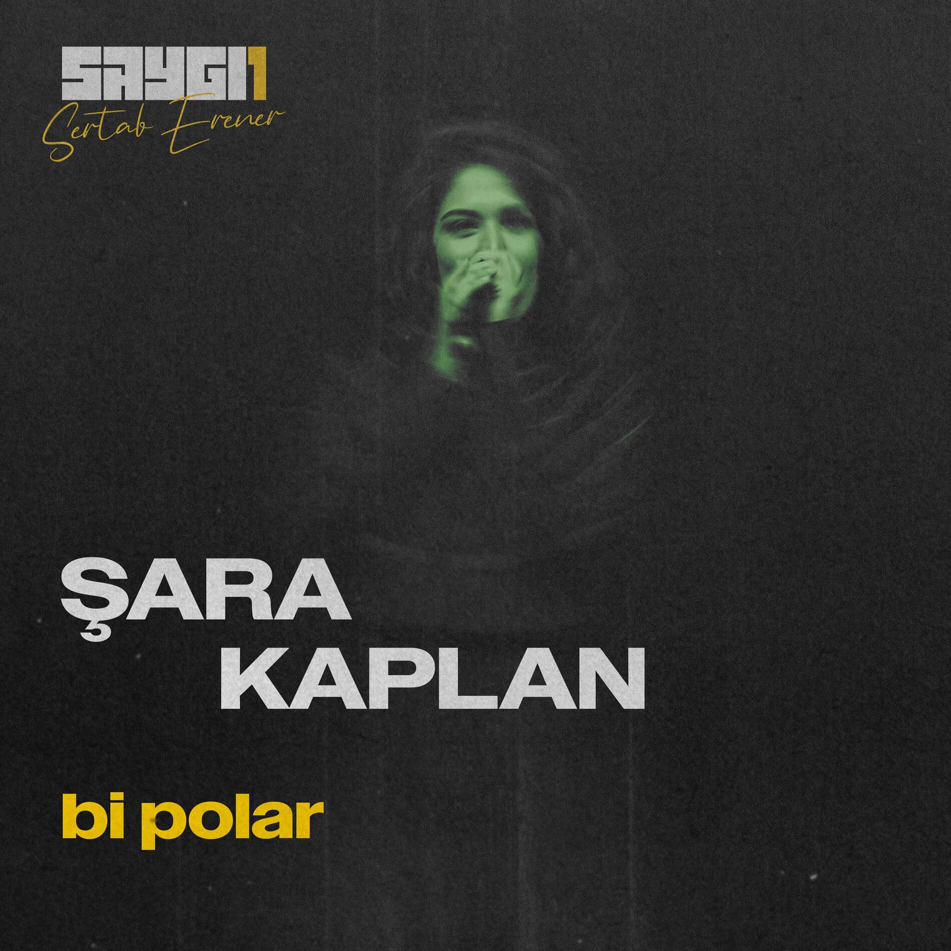 Album cover of Bi Polar