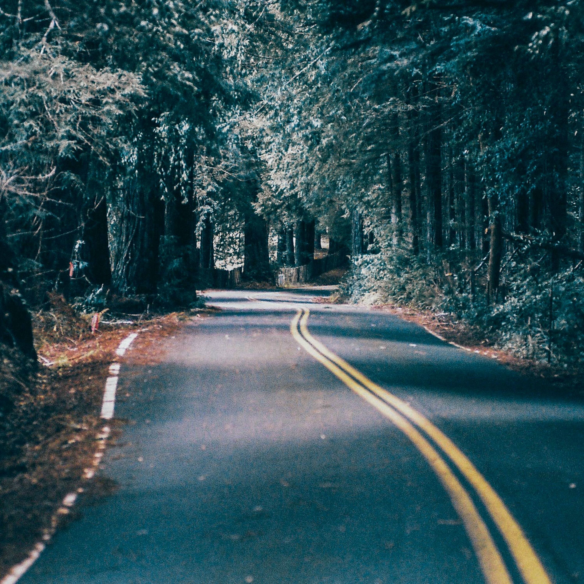 Album cover of Register