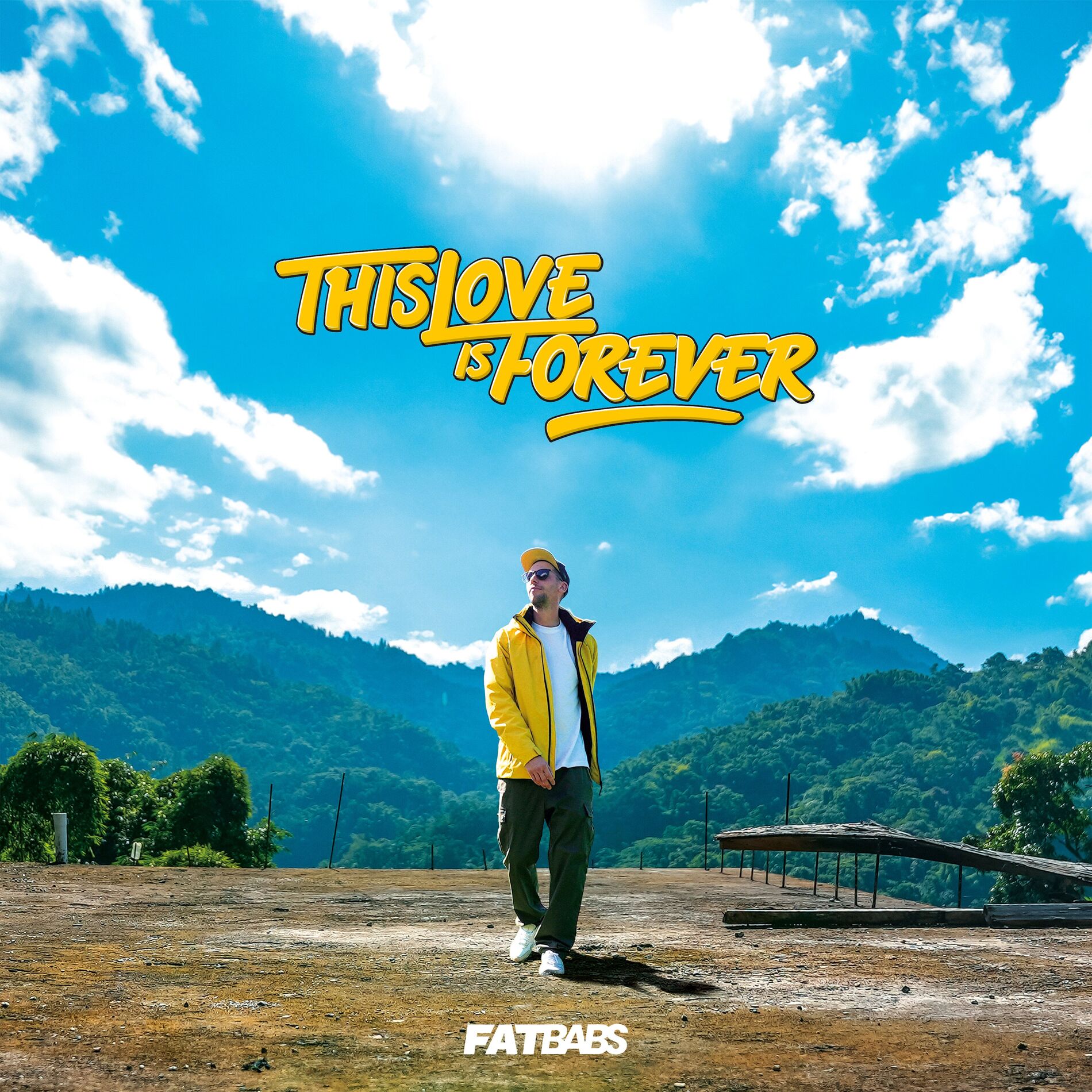 Album cover of I Feel Your Love