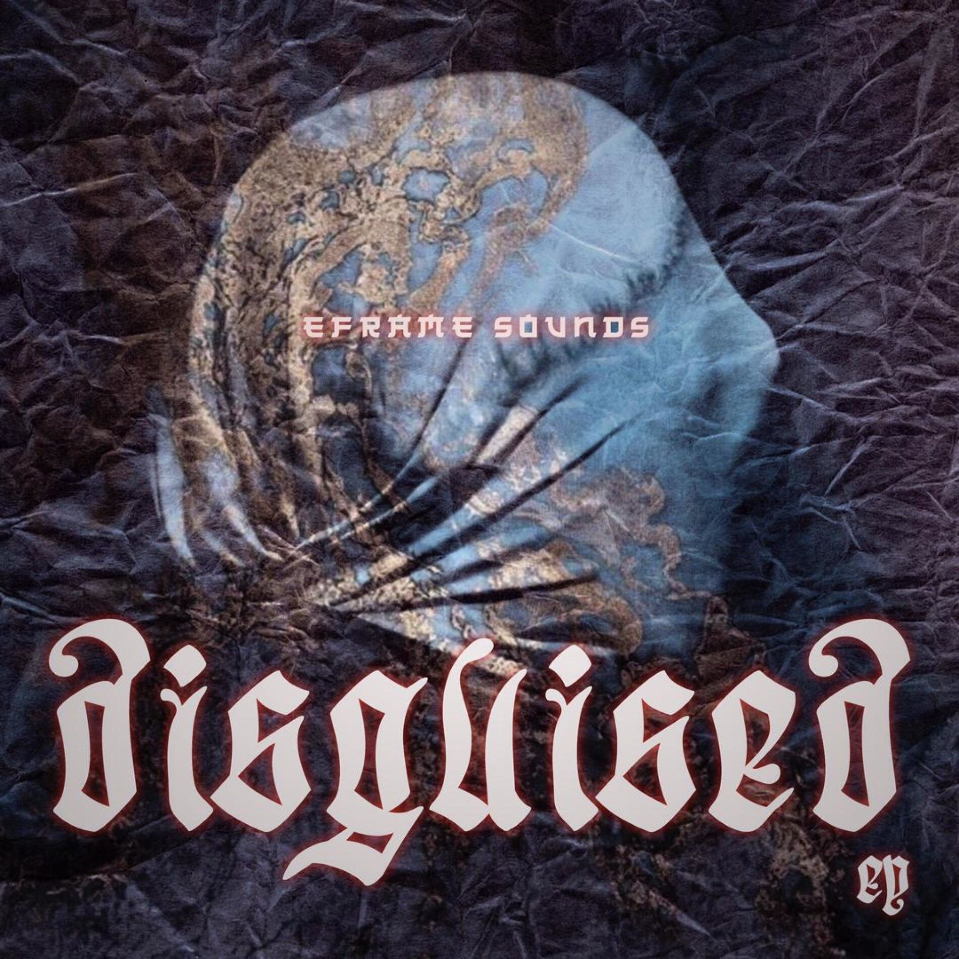 Album cover of Disguised