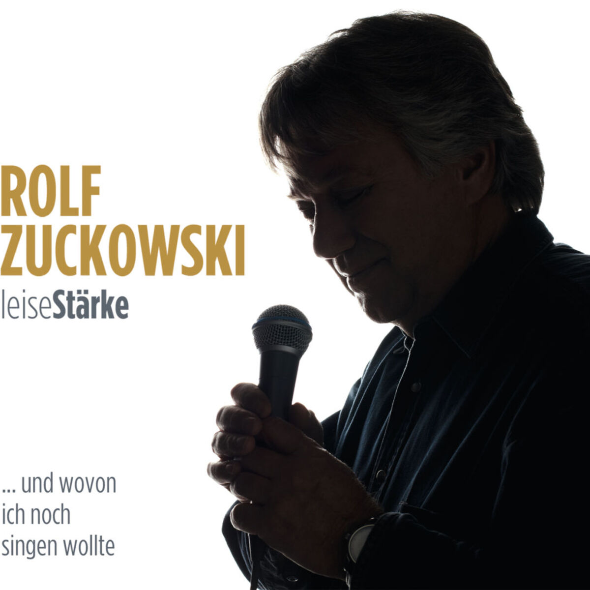 Album cover of leiseStärke