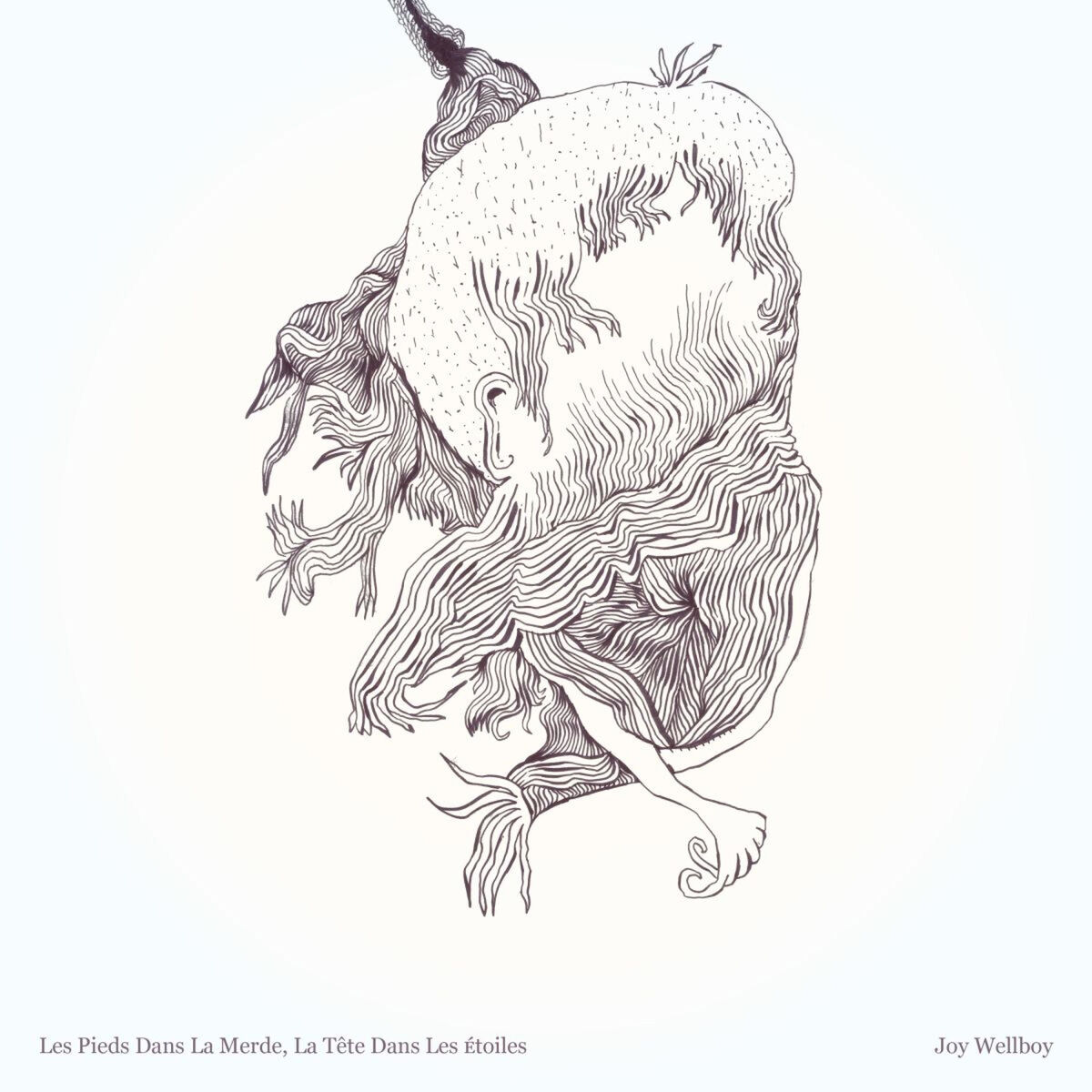 Album cover of Les pieds dans la merde, la tête dans les étoiles