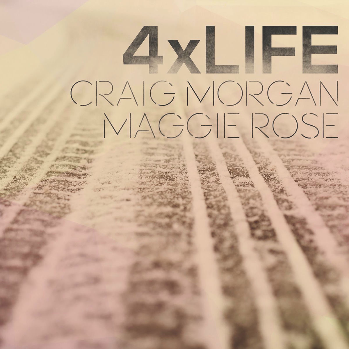 Album cover of 4 X Life