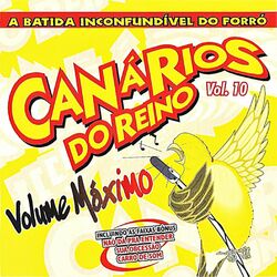 Cover of A Batida Inconfudivel Do Forró - Volume Máximo Vol.10