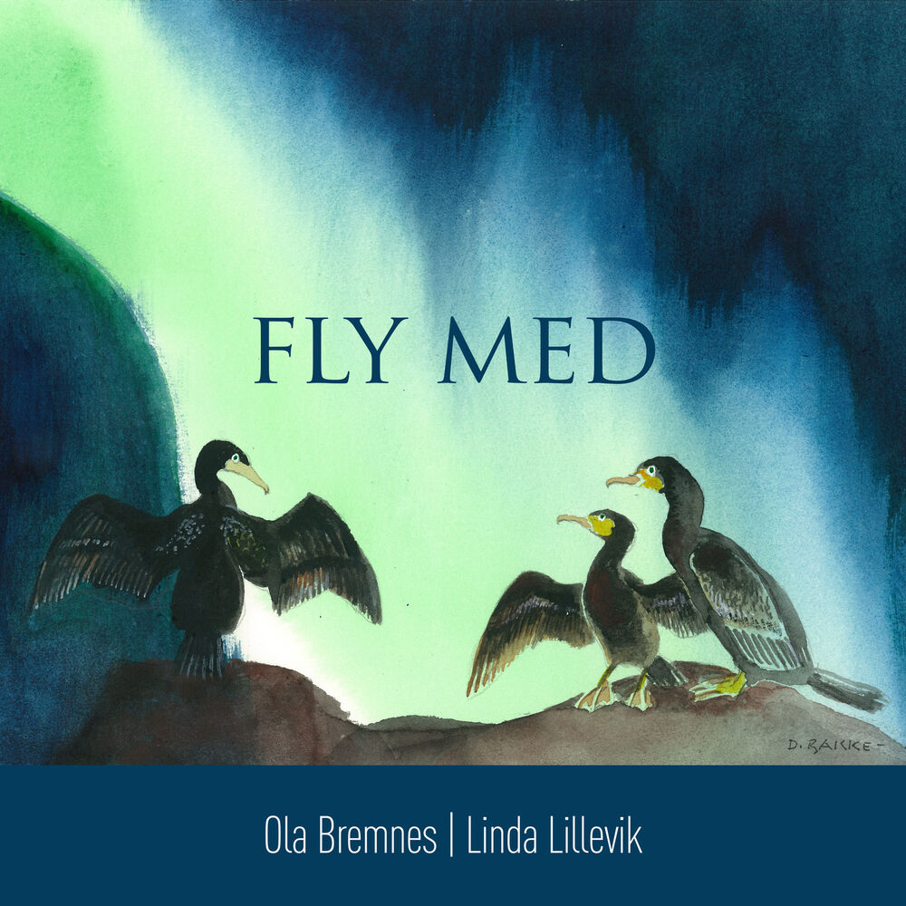 Picture of Fly med