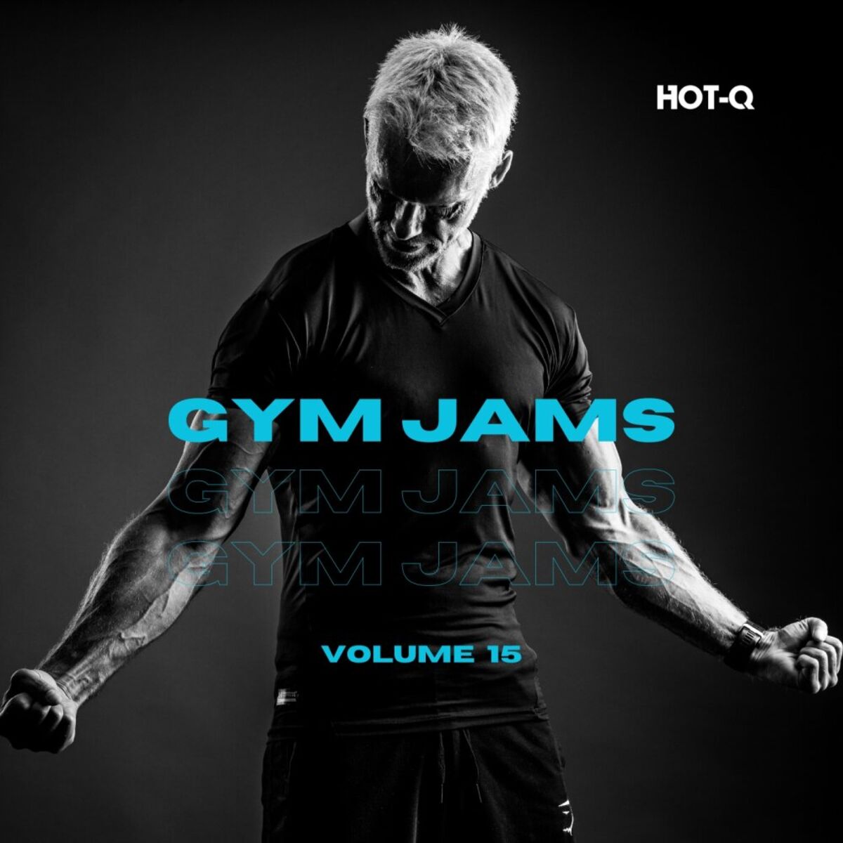 Album cover of Gym Jams 015