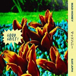 Cover of Good Grief