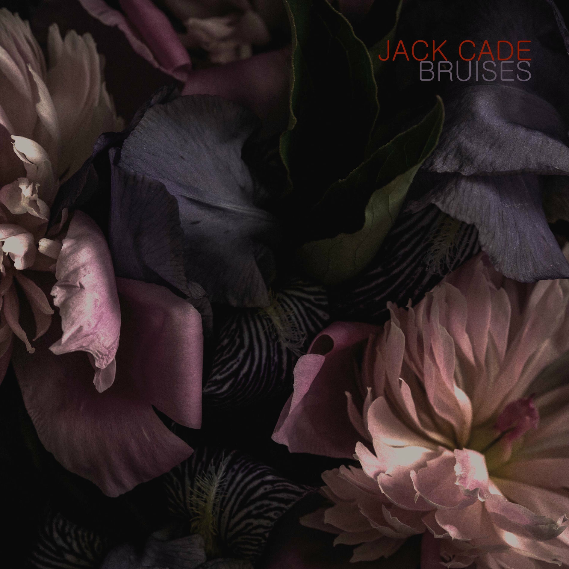 Album cover of Bruises