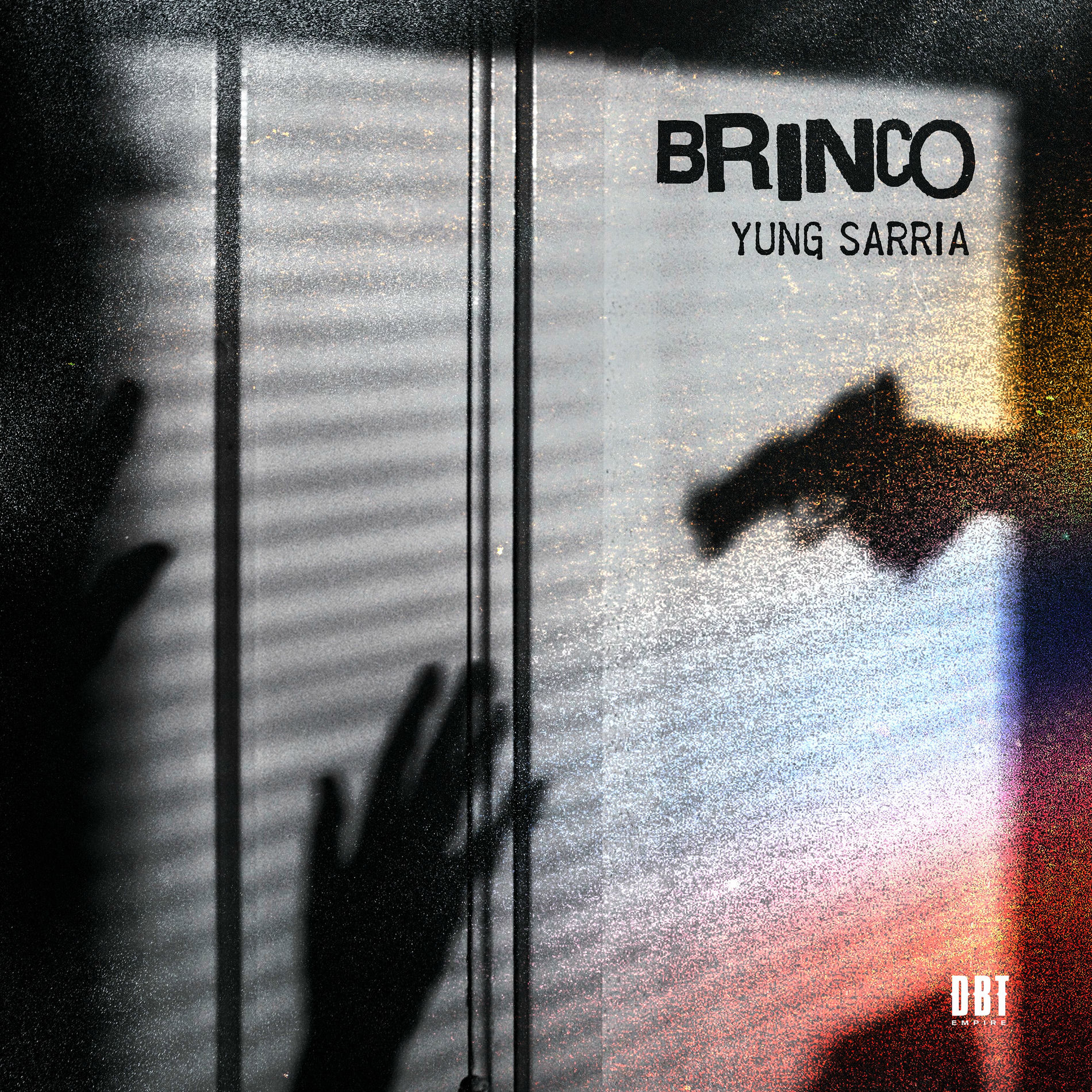 Album cover of Brinco