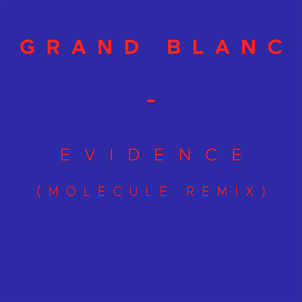 Picture of Evidence (Molecule Remix) - Single