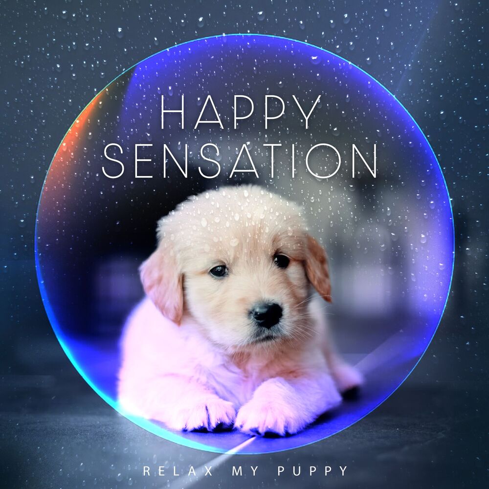 Picture of Happy Sensation