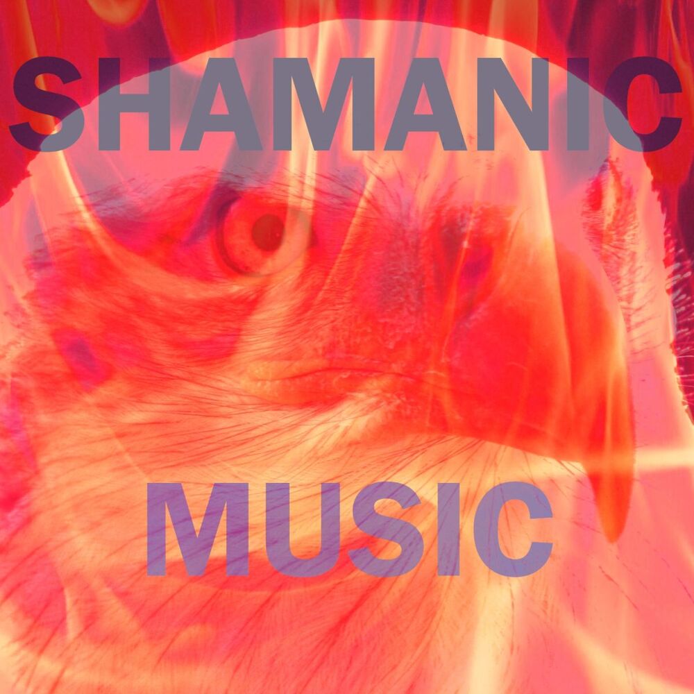 Picture of Shamanic Music