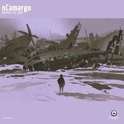Cover of Remains The Same