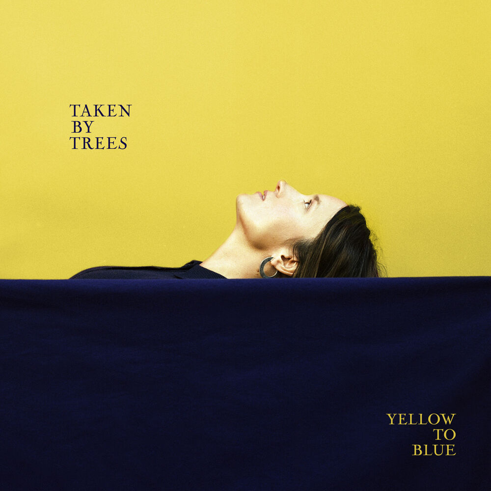 Picture of Yellow to Blue