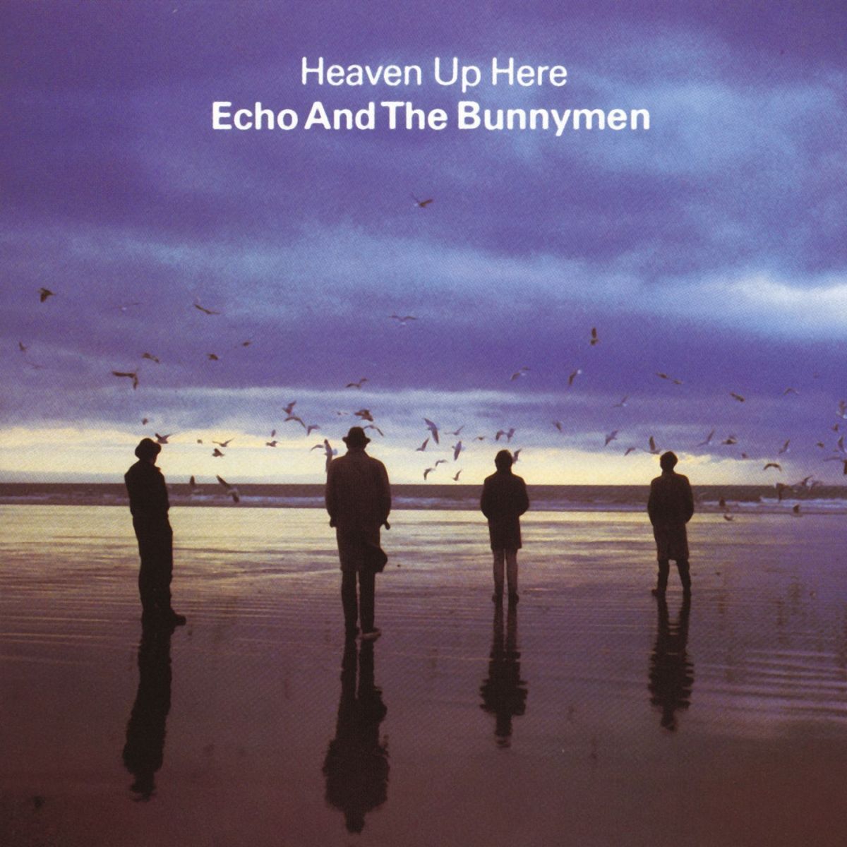Album cover of Show of Strength