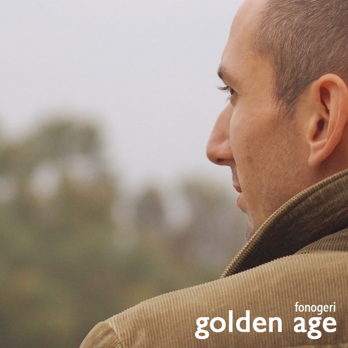 Album cover of Golden Age