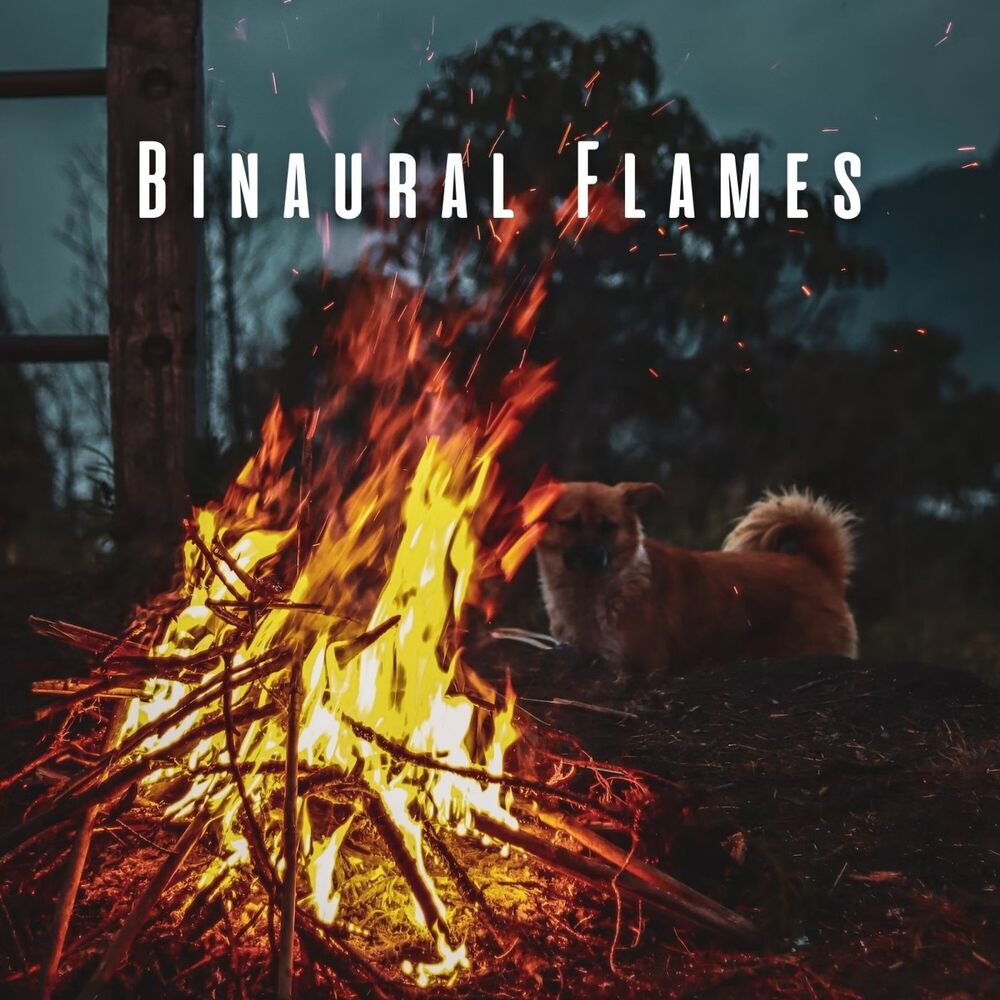 Picture of Binaural Flames: Dog's Fireside Tales