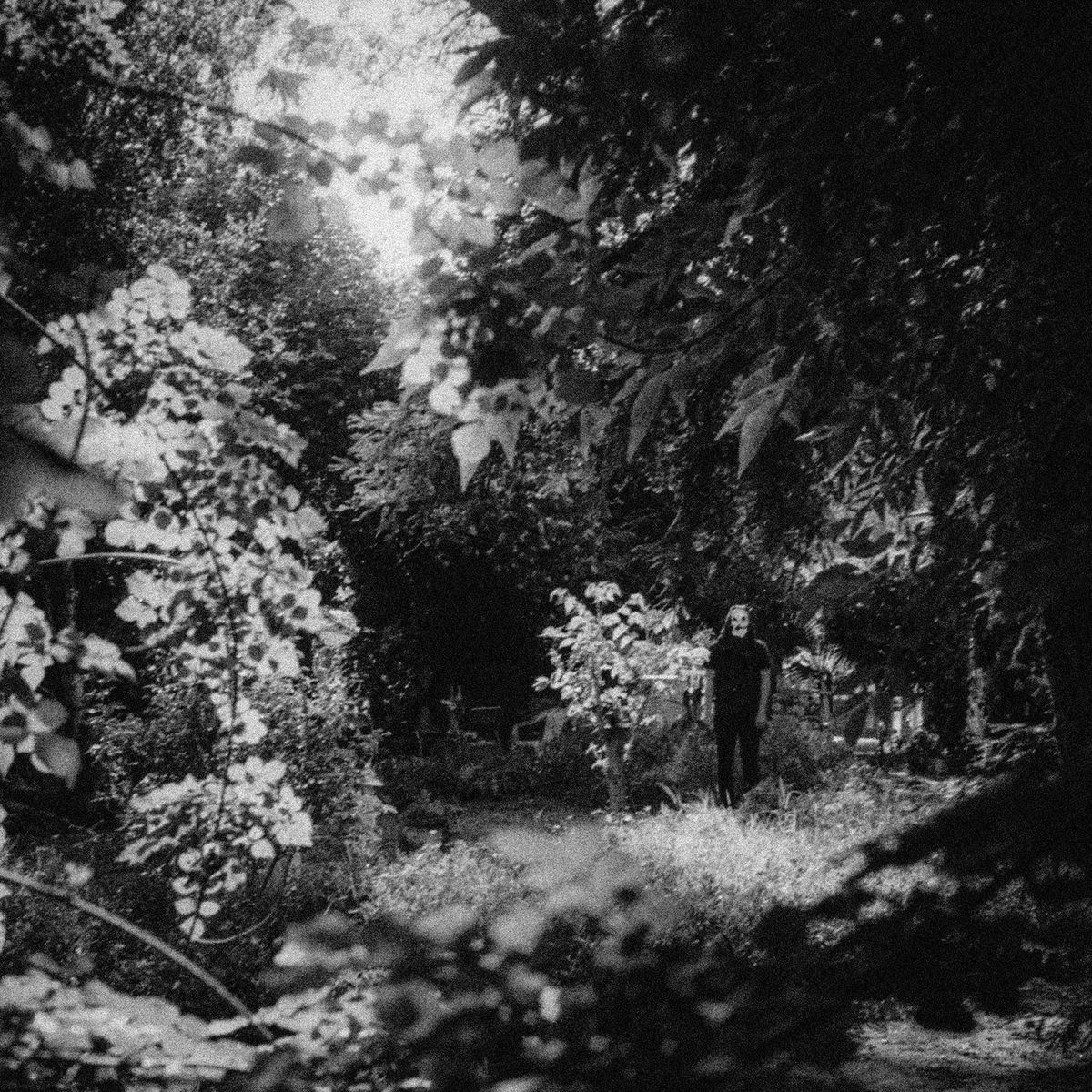 Album cover of Where I Lay