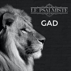 Cover of G.A.D