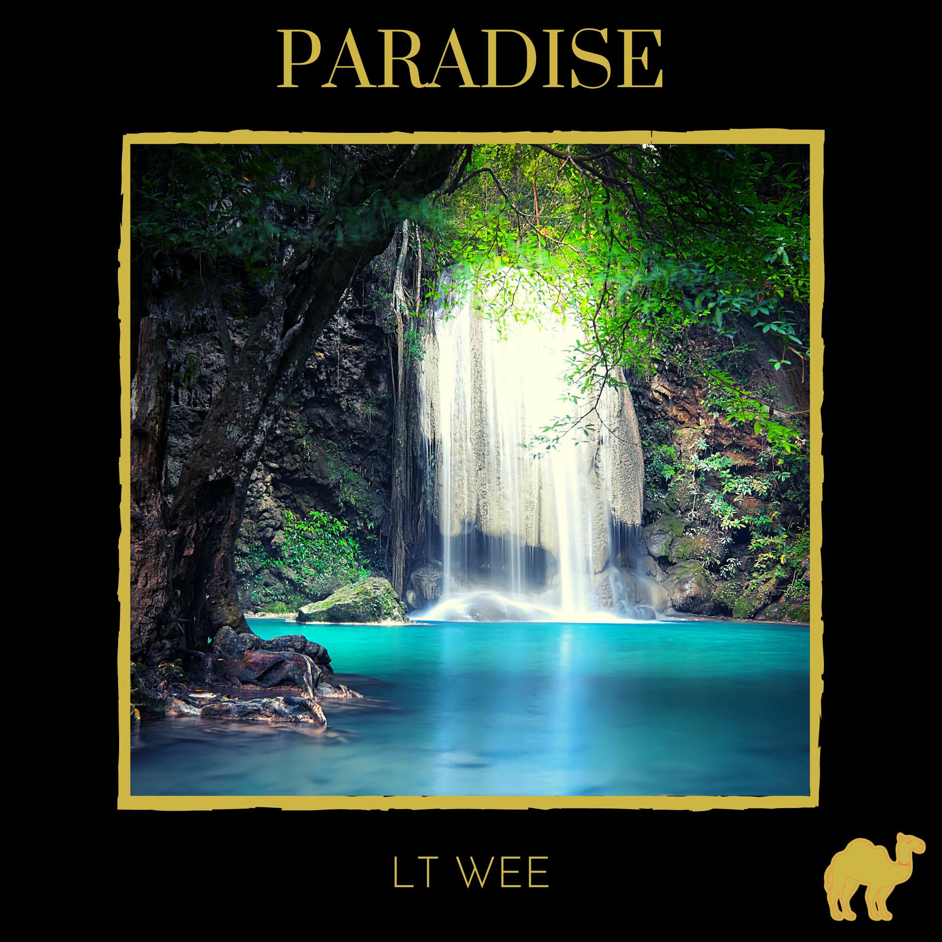 Album cover of Paradise